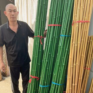 包塑镀膜竹竿菜园搭架竹子防腐装饰爬藤花支架结婚礼彩旗跳舞竹杆