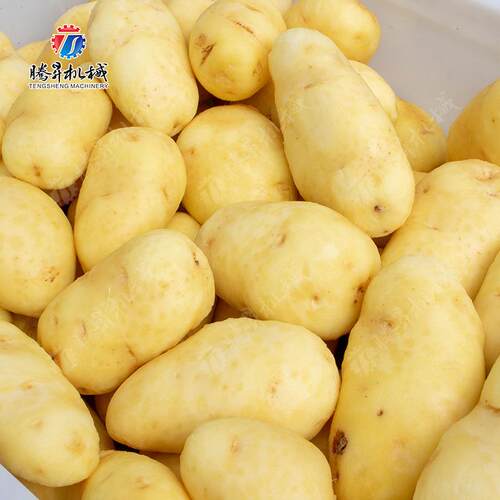 厂家直供辊清洗机毛姜土茯苓乌药生清洗去皮去机中草药清洗ZUB皮