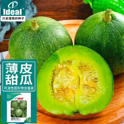 甜瓜种子甜薄皮香瓜种子