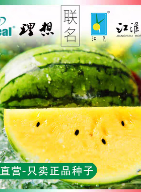 江淮园艺特小凤小型黄瓤西瓜种子好吃甜脆冰淇淋西瓜种籽蔬果种子