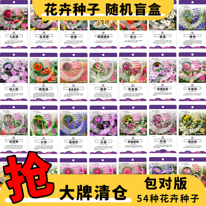 玫瑰花种籽子四季开花盆栽花卉植物室内外鲜花种子易爆盆庭院阳台