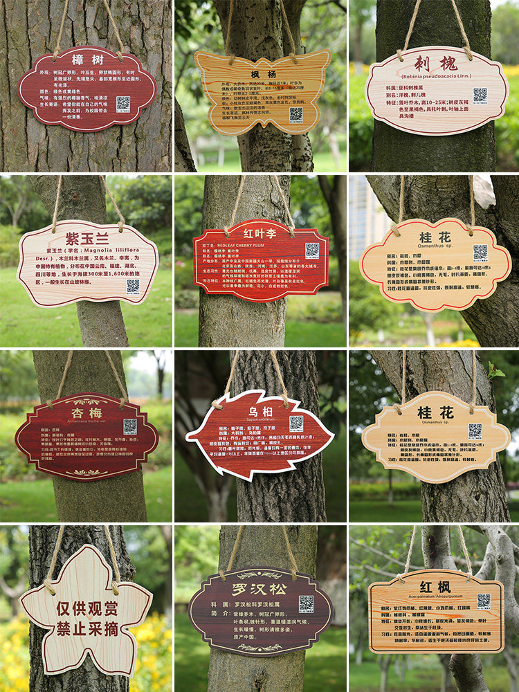 植树节树牌挂牌学校公园不锈钢插地牌子植物绿化信息牌介绍标识