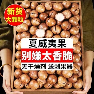 年货新果夏威夷果奶香味薄皮坚果大颗粒炒货休闲零食干果送开壳器