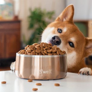美国S well304不锈钢防滑防打翻保温宠物碗狗碗水碗TUDOU宠物用品