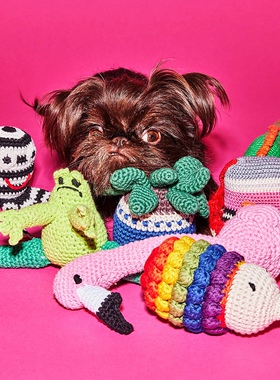 Ware of the Dog手工编织狗狗发声玩具可爱陪伴TUDOU宠物用品