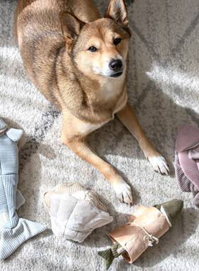 【Lambwolf海底世界系列】狗狗丰容玩具 藏食嗅闻发声益智解压