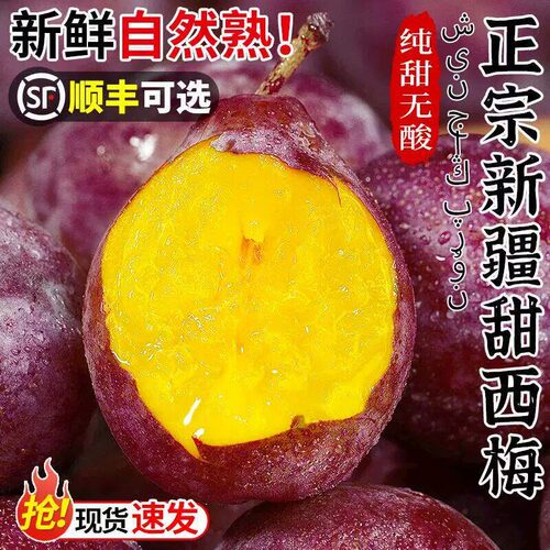 正宗特级新疆喀什法兰西西梅当季新鲜现摘孕妇时令水果顺丰包邮