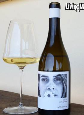 银奖97分！意大利原瓶进口小雏菊白葡萄酒花果香浓郁迷人玛尔维萨