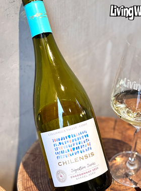 智利原瓶进口干白智星酒园绝色霞多丽白葡萄酒Chardonnay果味充沛