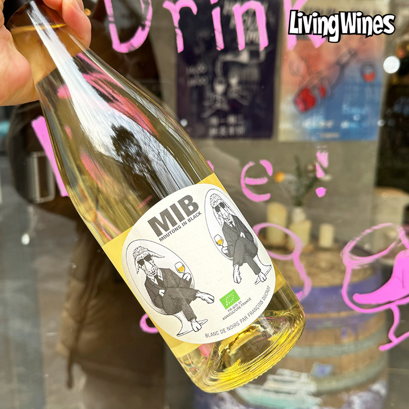 自然酒小羊法国进口流氓羊白葡萄酒小绵羊梅洛干型红葡萄酒黑中白