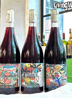 自然酒法国进口干红莓果樱桃品丽珠干红西拉混酿喝醉了红葡萄酒