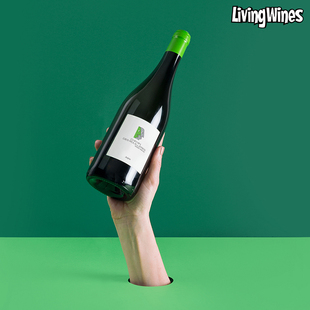 法国原装进口安茹干白卢瓦河谷弗莱德里克诞生地白诗南白葡萄酒