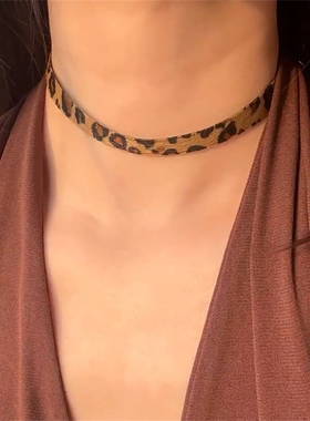 复古豹纹项链女2026年新款