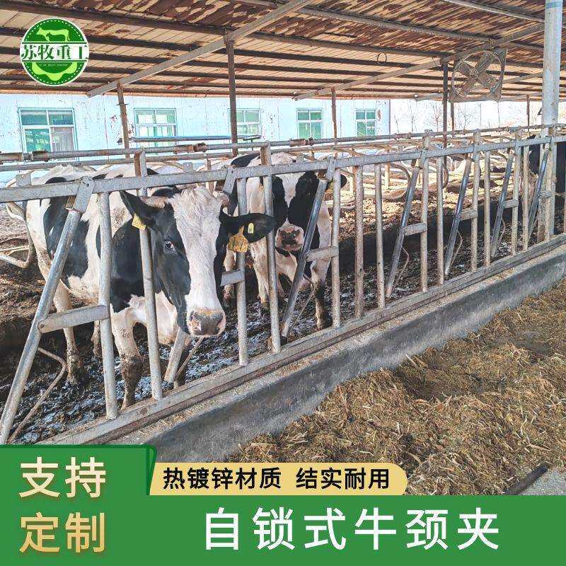 苏牧重工加厚自锁式牛颈夹养殖场用热镀锌材质新型牛颈枷配件