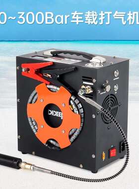 DIDEEP12V车载220V家用电高压电动打气机30mpa自动停机版无异味