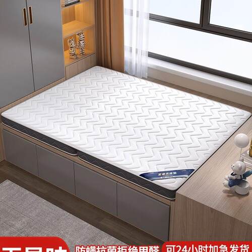 榻榻米床垫子定做可折叠椰棕乳胶床垫家用儿童护脊软炕硬垫子