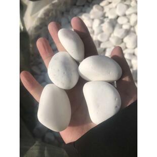 厂销建筑铺路装饰白色石子白色卵石黑色雨花石彩色鹅卵石