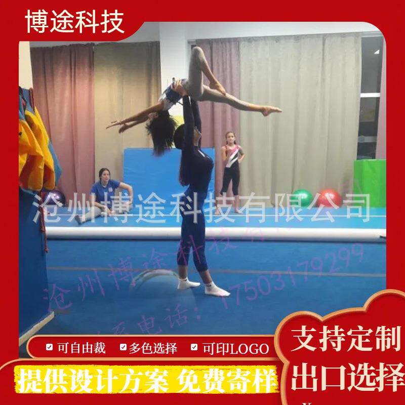 健身垫跆拳道地垫瑜伽舞蹈拳击跳舞空翻武术格斗柔道垫子加厚防滑