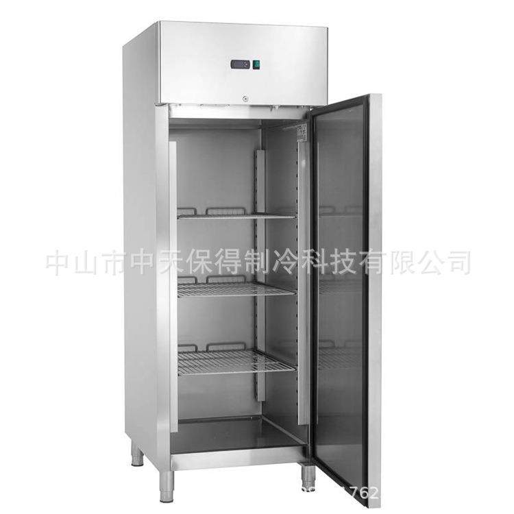 GN650BT欧款商用单门冰箱冰柜单温立式厨房单开门冷冻柜冷藏保鲜
