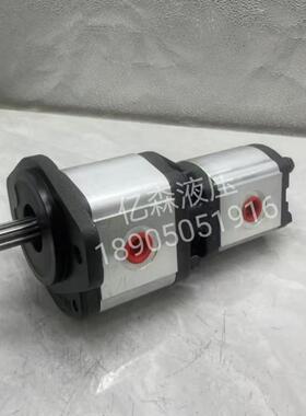 国产双联齿轮泵AZPNF-12-022/022RDC1212MB高性能外啮合齿轮泵