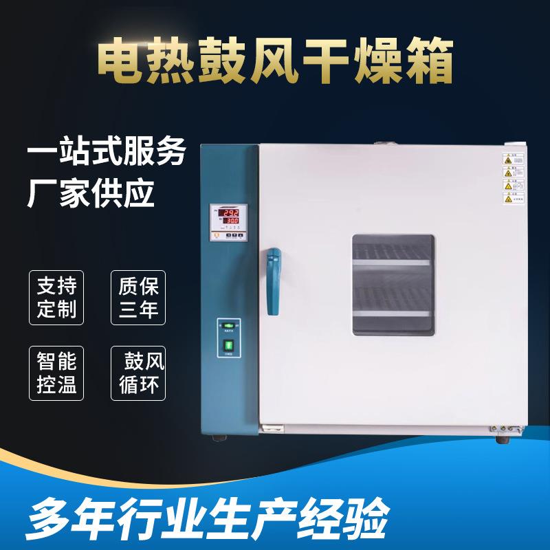 智能控温电热鼓风干燥箱恒温烘箱烤箱实验工业商用烤箱老化箱