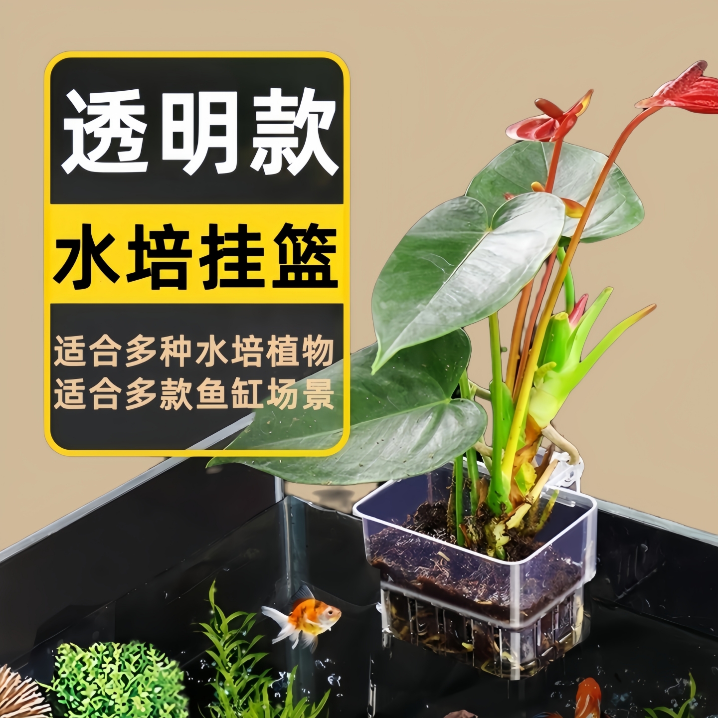 鱼缸水培植物种植篮壁挂式