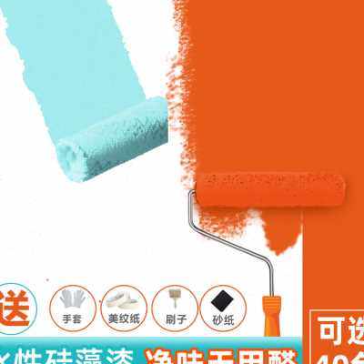 乳胶漆室内家用无甲醛刷墙涂料内墙翻新修复自刷彩色硅藻泥墙面漆