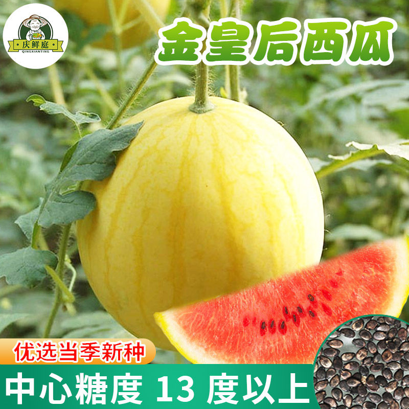 皇后西瓜种子庆鲜庭四季