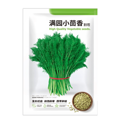 割茬小茴香种子茴香种籽菜种籽大全四季南方阳台盆栽苗秧蔬菜种孑