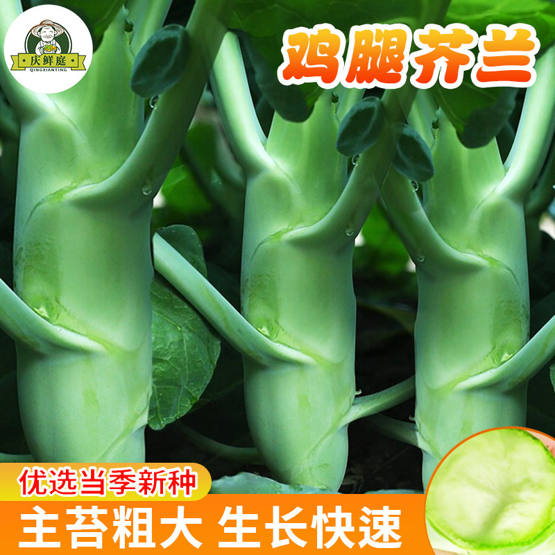 庆鲜庭鸡腿芥蓝四季种子