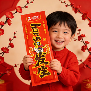 双娇臭干子新年对联大辣片辣条麻辣味老长沙年货零食很大湖南特产