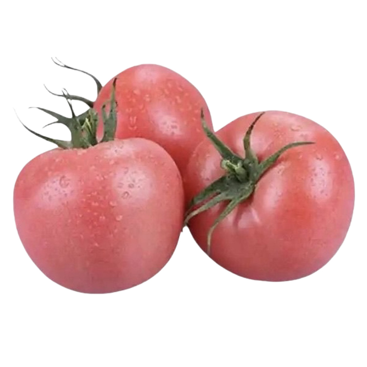 云南露天沙瓤番茄树上自然熟西红柿新鲜番茄粉红番茄包邮,水产肉类/新鲜蔬果/熟食,番茄,淘宝优惠券,粉丝福利购,淘宝优惠卷