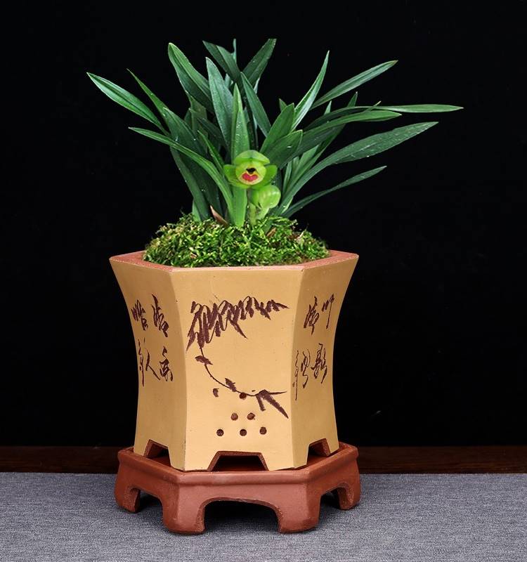 紫砂花盆兰花盆带底座精品家用简约六角黑松老桩桌面花卉绿植包邮