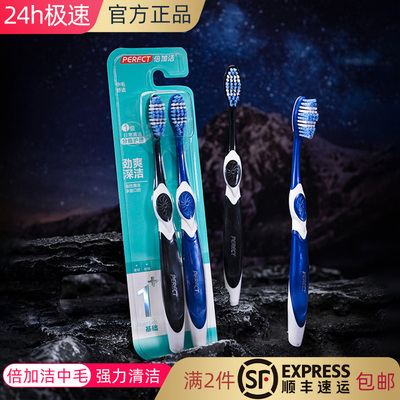 倍加洁除渍成人双支中毛牙刷