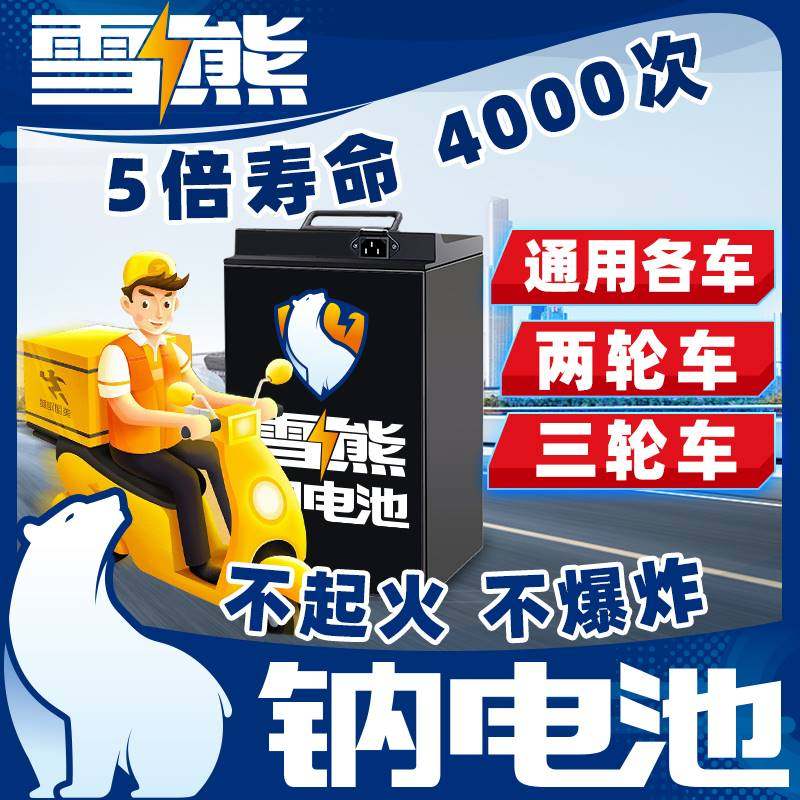 雪熊钠离子电池组平替锂电瓶两轮三轮电动G车48v60v72伏外卖新国