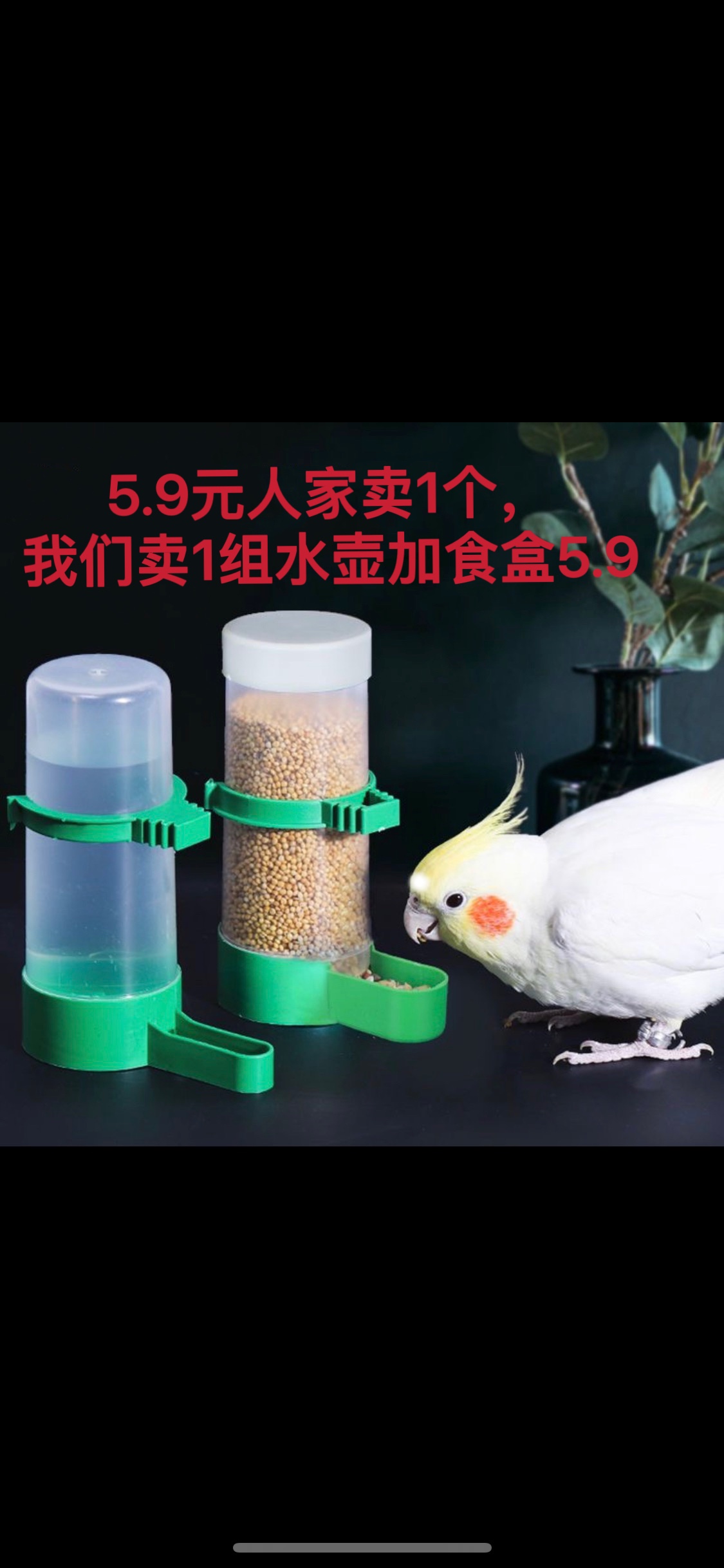 鸟用饮水器喂水器喝水壶鹦鹉自动下料器外挂鸟喂食器小号食盒防撒 宠物/宠物食品及用品 鸟禽喂食器/喂水器 原图主图