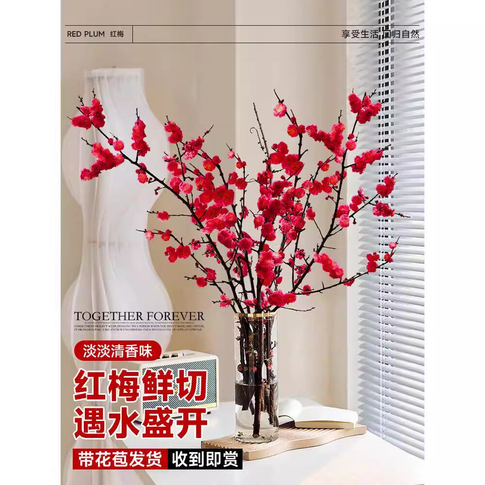 网红梅花鲜枝水培干枝珍珠李遇水开花室内好养梅花水养耐寒热uk48