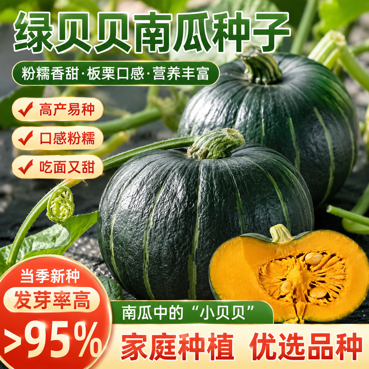 迷你贝贝南瓜种子高产板栗味春秋四季绿贝贝小南瓜种籽蔬菜种籽孑