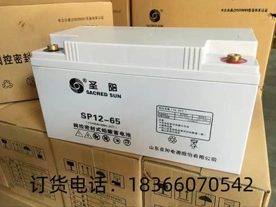 圣阳蓄电池12V65AH铅酸免维护蓄电池EPS蓄电池ups直流屏蓄专用蓄