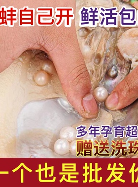 天然淡水珍珠蚌河蚌爱迪生取珍珠单珠多珠蚌自己开壳活体鲜活包邮