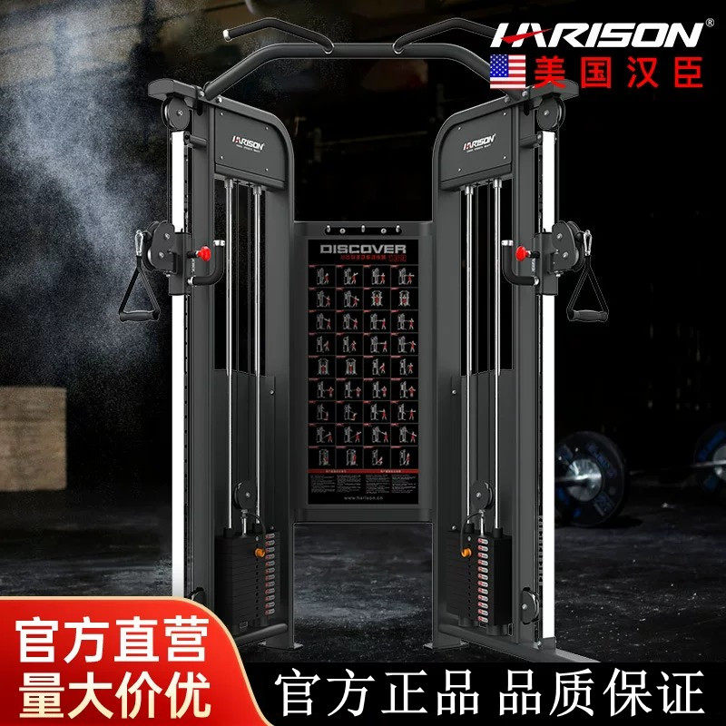 汉臣力量飞鸟龙门架综合