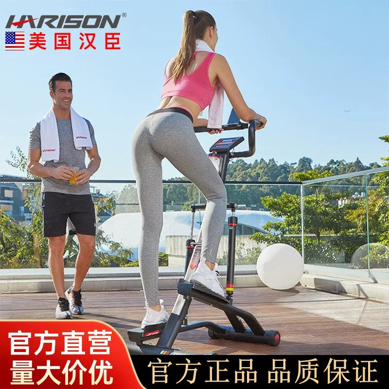 HARISON汉臣踏步机家用低噪登山运动踏步机瘦身健身器材309eco