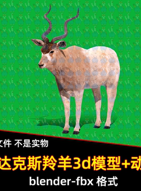 blend写实阿达克斯羚羊哺乳动物3D模型带骨骼绑定多个动画fbx素材