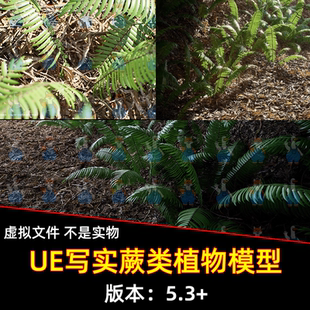 Vol.1 Fern UE5.3虚幻引擎4K写实植物蕨类自然环境道具 Nanite
