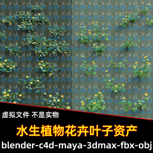 Blender写实水生植物花卉叶子植物资产3d模型FBX C4D 3DMAX MAYA