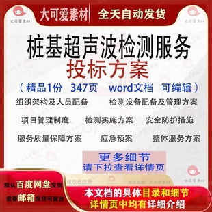 桩基超声波检测服务投标方案项目管理文档范本word参考模板可编辑
