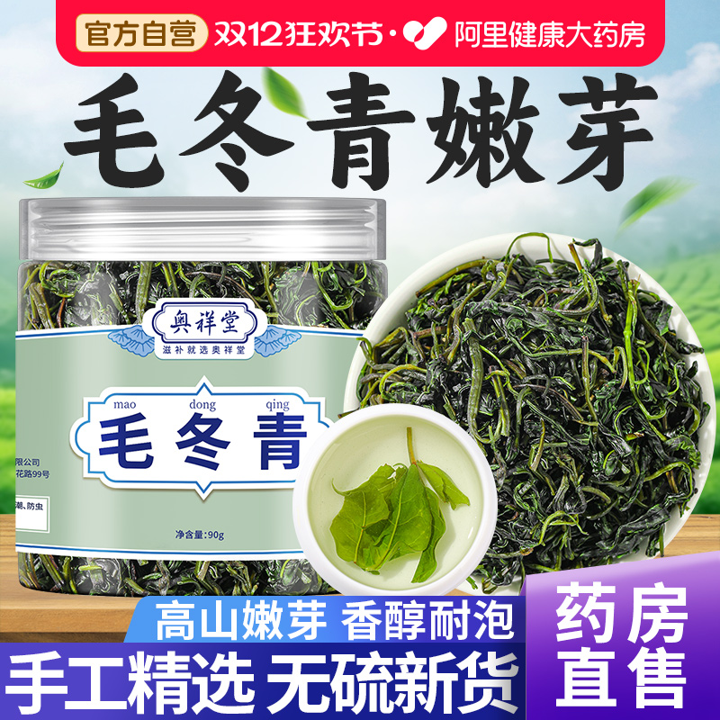 【药房直售】毛冬青嫩芽新货