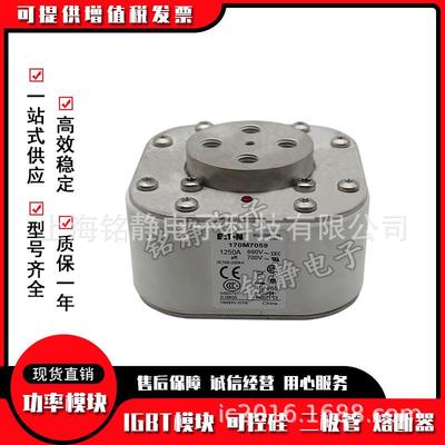 170M7031170M7548170M7034170M7053170M7544巴斯曼熔断器