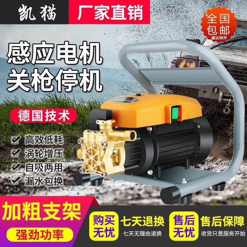 牌家用洗车机家用高压清洗机大水量自吸洗车器便携式刷车X20