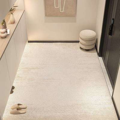 2025新款简约现代家用室外耐脏入户门垫可门厅进门踩脚垫地垫